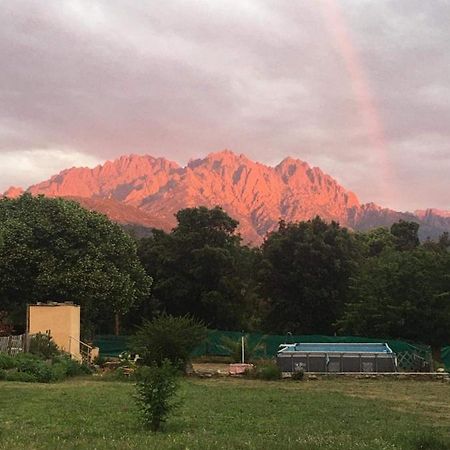 Le Coin Tranquille Ξενοδοχείο Morosaglia Εξωτερικό φωτογραφία