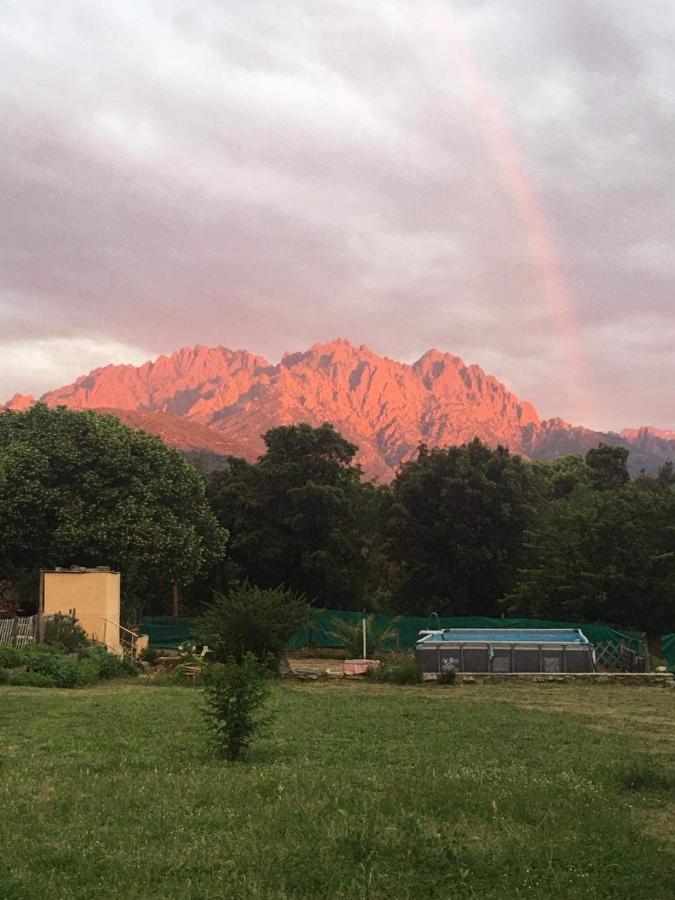 Le Coin Tranquille Ξενοδοχείο Morosaglia Εξωτερικό φωτογραφία